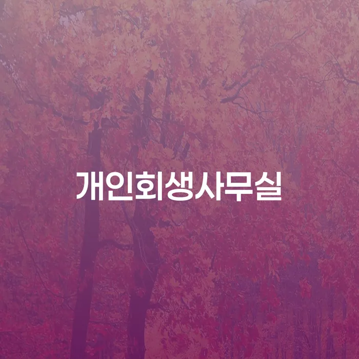 부채증명원발급 채무 효과적인 해결방법 살펴보세요