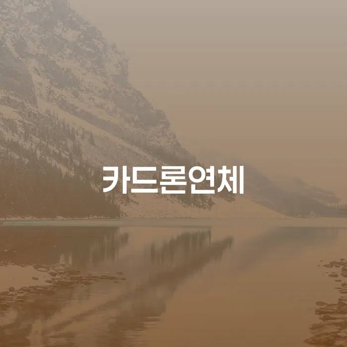 휴대폰개통대출 개인회생 진행방안