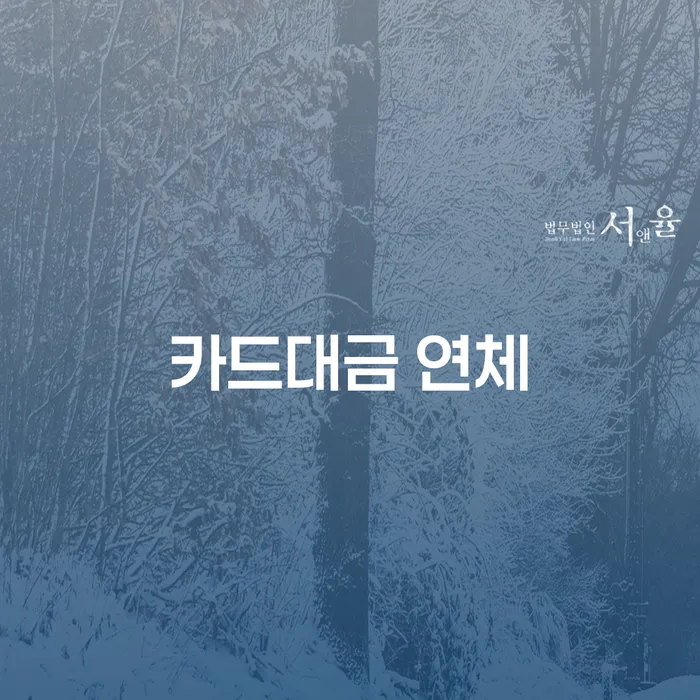 개인파산신고 개인회생,개인파산으로 이렇게 됩니다.