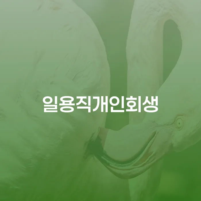 의사개인회생 신용회복 궁금하다면..