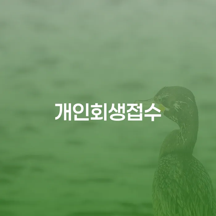 함안군 개인회생자동차 처리 개인회생 문제해결방법 탕감을진행