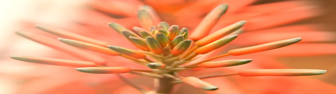 법무법인 서앤율