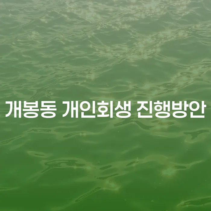 개봉동 개인회생 진행방안