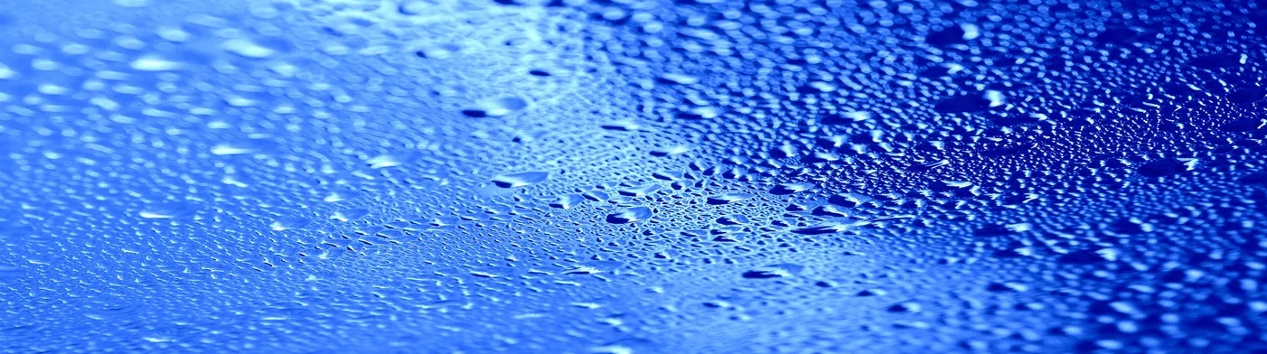 법무법인 서앤율