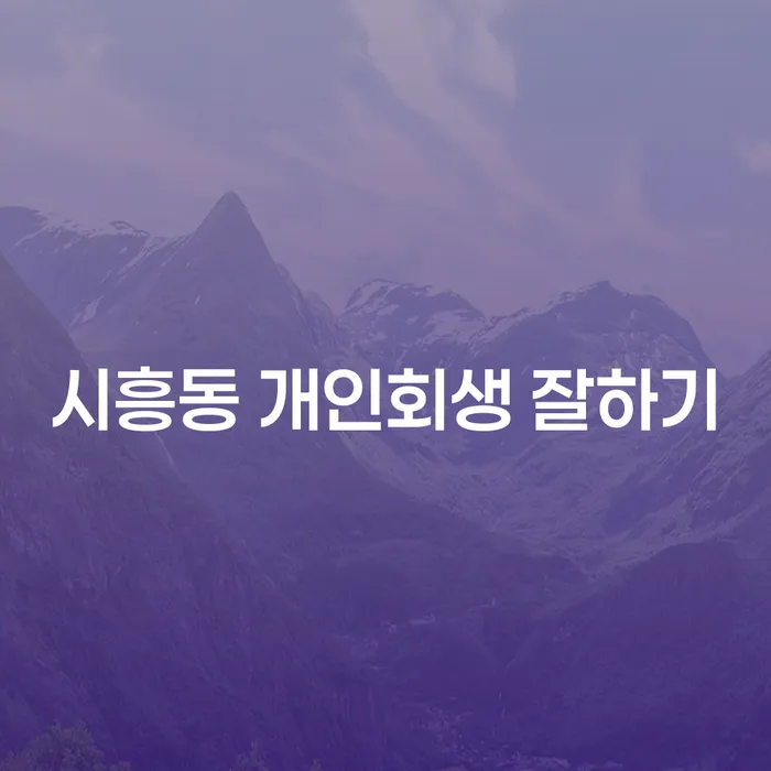 시흥동 개인회생 잘하기
