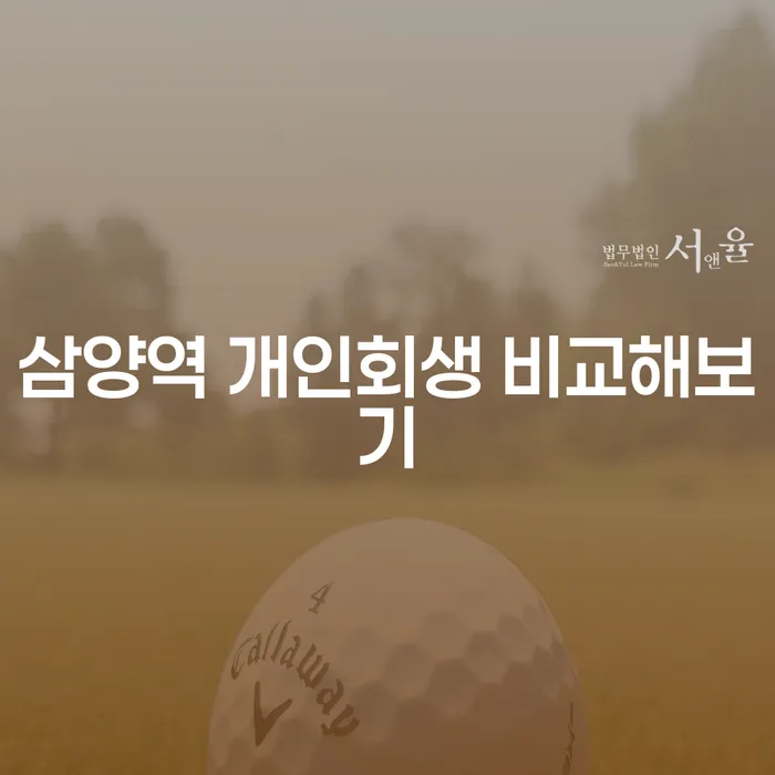 삼양역 개인회생 비교해보기