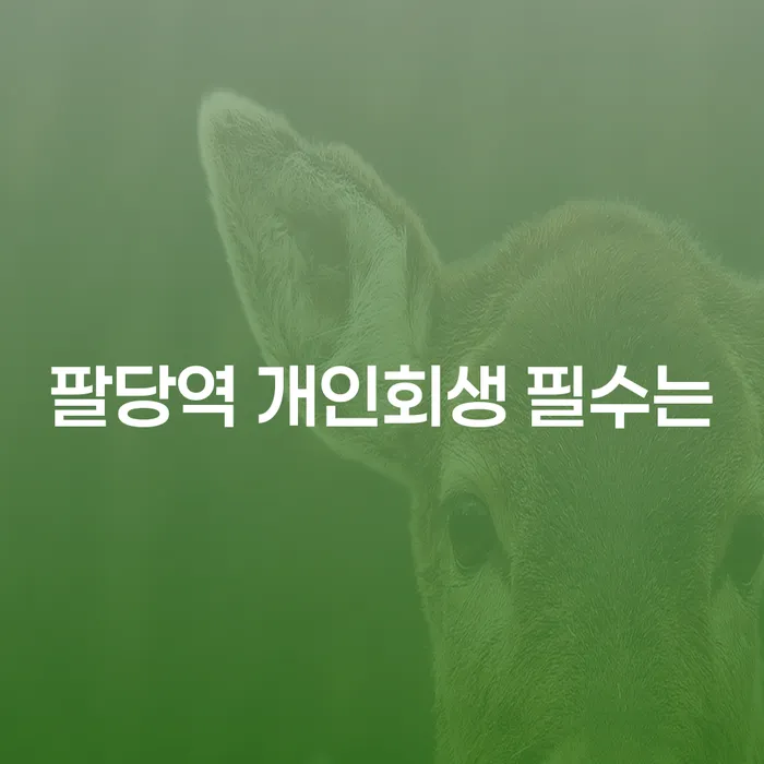 팔당역 개인회생 필수는