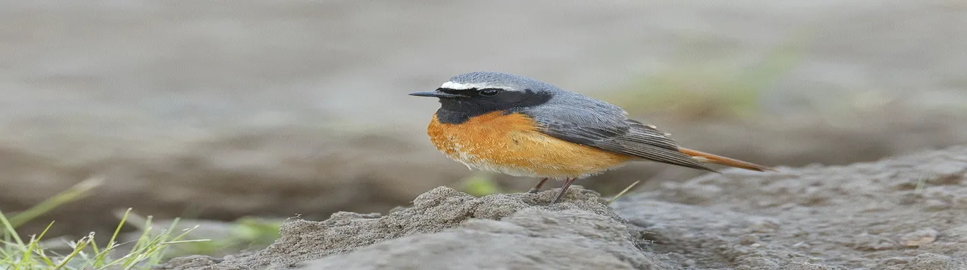 법무법인 서앤율