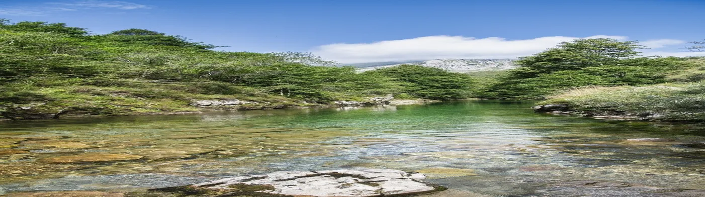 법무법인 서앤율