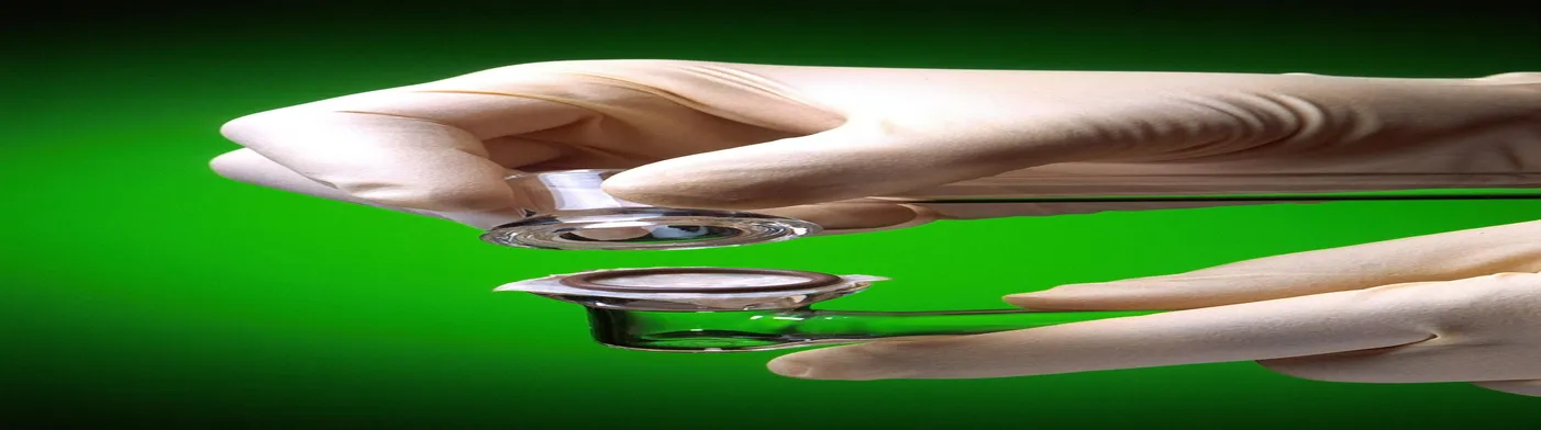 법무법인 서앤율