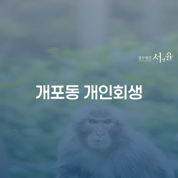 개포동 개인회생, 지금 신청해야 할까요?