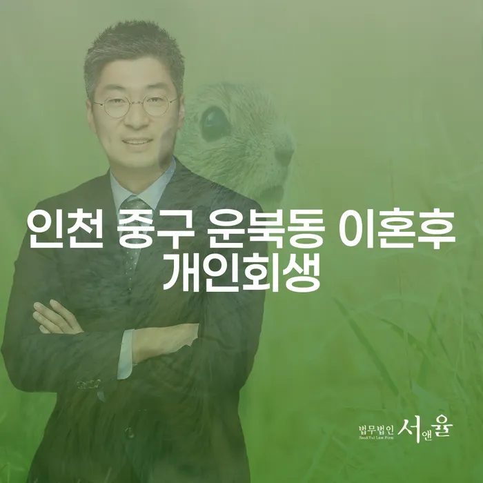 인천 중구 운북동에서 이혼 후 개인회생, 법대로합시다!