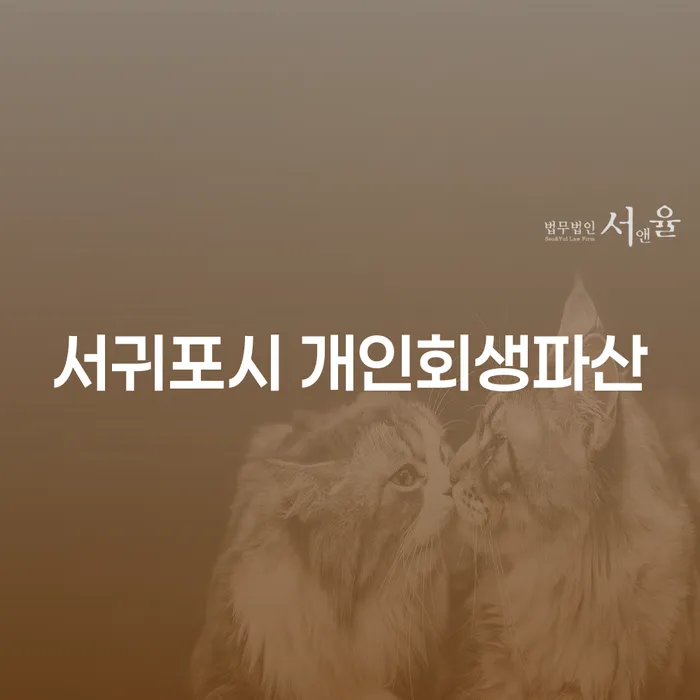 서귀포시에서 개인회생과 파산을 고려해야 하는 이유는 무엇일까요?